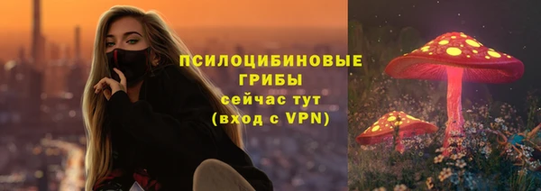 первитин Абинск