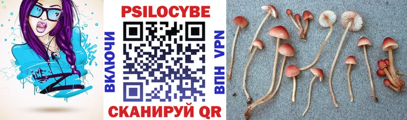 купить наркоту  Вилюйск  Галлюциногенные грибы мухоморы 