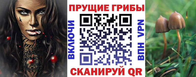 Псилоцибиновые грибы Cubensis Вилюйск